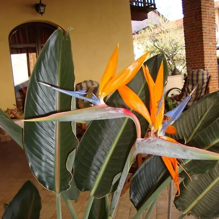 فندق مبيت وإفطار Al Calar Della Sera