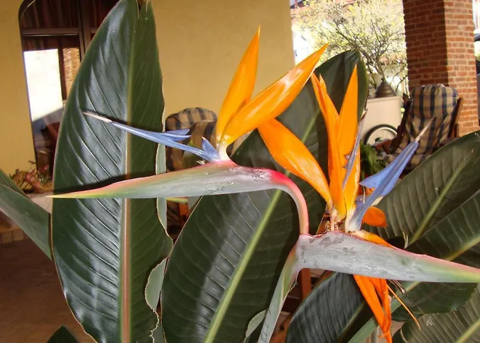 Bed & Breakfast Al Calar Della Sera